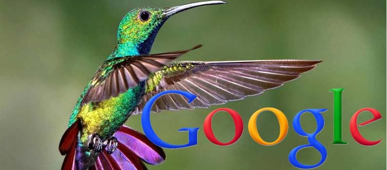 Colibri, le nouvel algorithme de Google